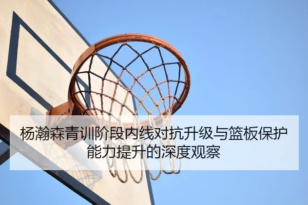 杨瀚森青训阶段内线对抗升级与篮板保护能力提升的深度观察