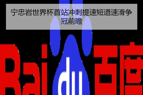 宁忠岩世界杯首站冲刺提速短道速滑争冠前瞻